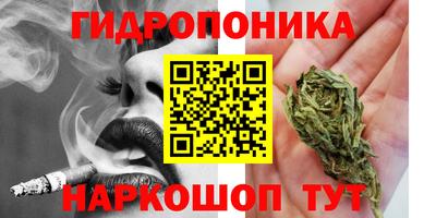 гидропоника Коммунар