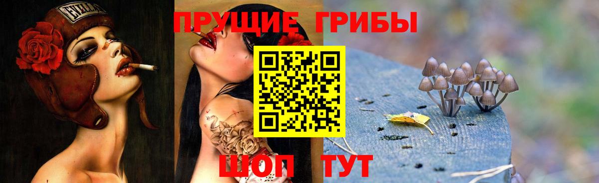 цены   Вход с VPN  Канаш  Псилоцибиновые грибы Cubensis  Галлюциногенные грибы MAGIC MUSHROOMS 
