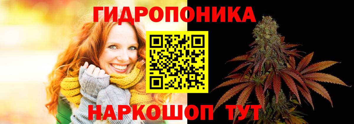 Марихуана сатива Канаш